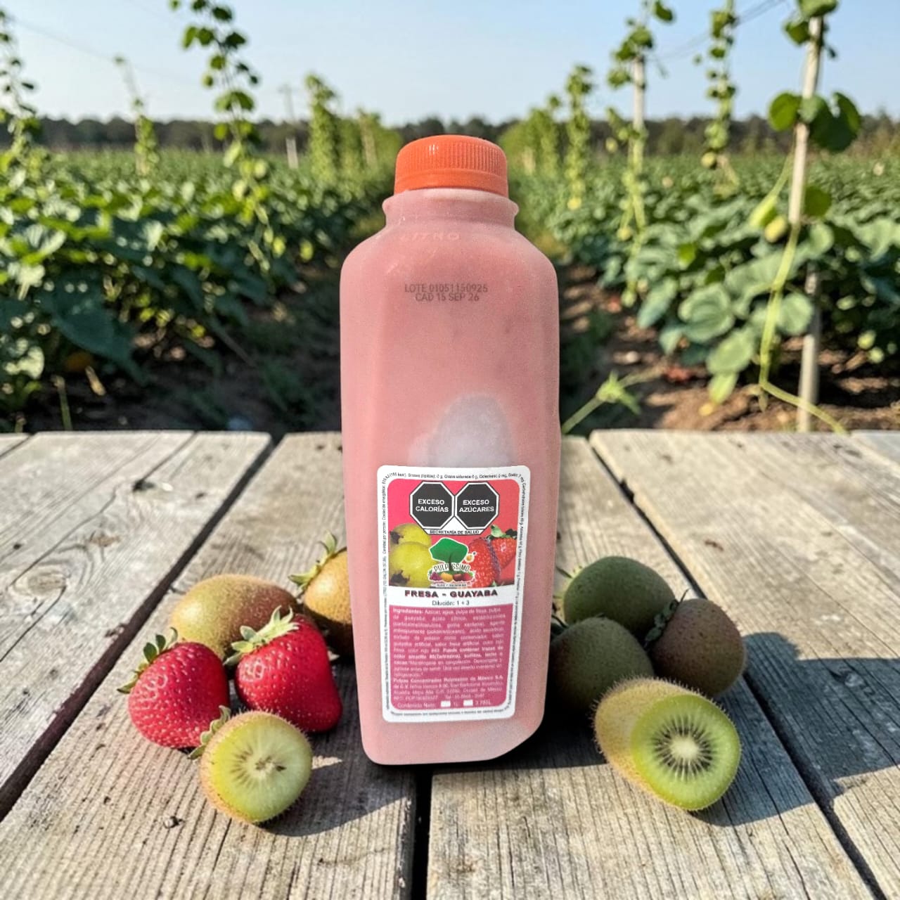 Concentrado de fresa guayaba