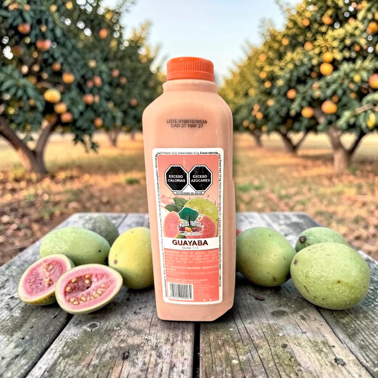 Concentrado de guayaba