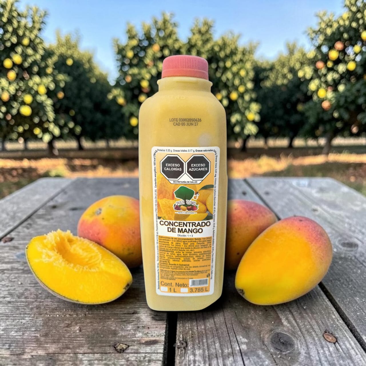 Concentrado de Mango